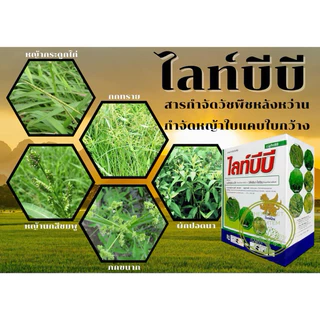 ไลท์บีบี(เบนซัลฟูรอน-เมทิล+บิสไพริแบค-โซเดียม)กำจัด หญ้าเดือน หญ้าข้าวนก ผักปอด เทียนนา หนวดปลาดุก
