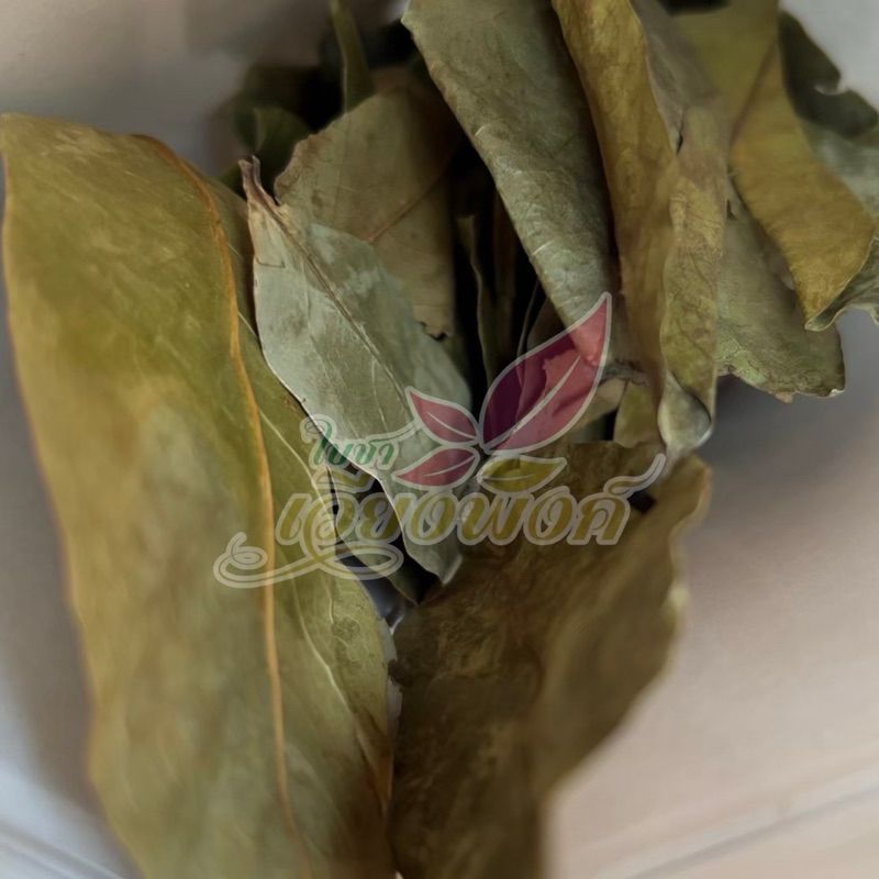 ชาทุเรียนเทศ 1แถม1 (คละตัวแถมได้ แจ้งในแชท)ทุเรียนน้ำใบแท้ล้วน มีให้เลือก3ขนาด - รูปที่ 3