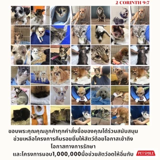 PETSMILE แชมพูป้องกันแบล็คสกินและเชื้อรา สำหรับปอมเมอเรเนียน 550ml