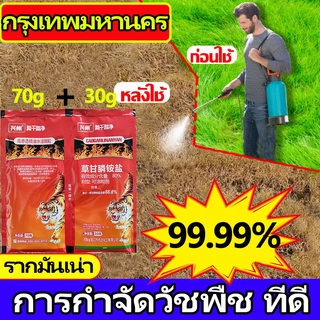 🪓การจัดส่งในประเทศไทย🪓ยาฆ่าหญ้า สารกําจัดกอไผ่ ใช้กำจัดวัชพืชได้ทุกชนิด ไม่เป็นอันตรายต่อคนและสัตว์เลี้ยง