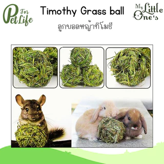 My Little One's Favarite Timothy Ball บอลหญ้าทิโมธี ของเล่นลับฟัน สำหรับสัตว์ฟันแทะ 1 ลูก