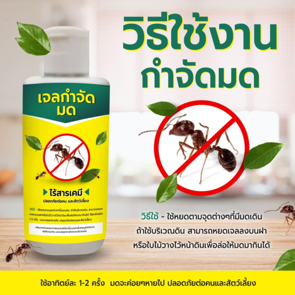 เจลกำจัดมดเจลกำจัดมดเจล (JA) ไล่มดปลอดภัยต่อคนและสัตว์เลี้ยง เนื้อเจลสีขาวใสแต่งกลิ่นที่มดชื่นชอบ120กรัม