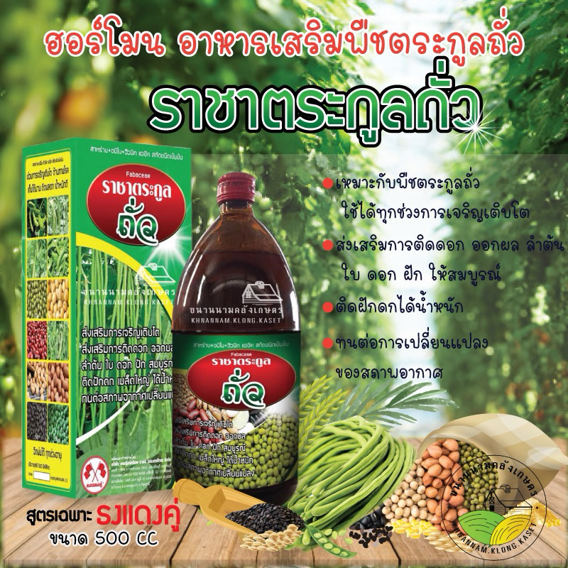 ราชาตระกลูถั่ว" (ตราธงแดงคู่) สุดยอดอาหารเสริมพืชตระกูลถั่ว เร่งถั่วดก ที่เหมาะกับพืชตระกูลถั่ว ขนาด 500 ซีซี