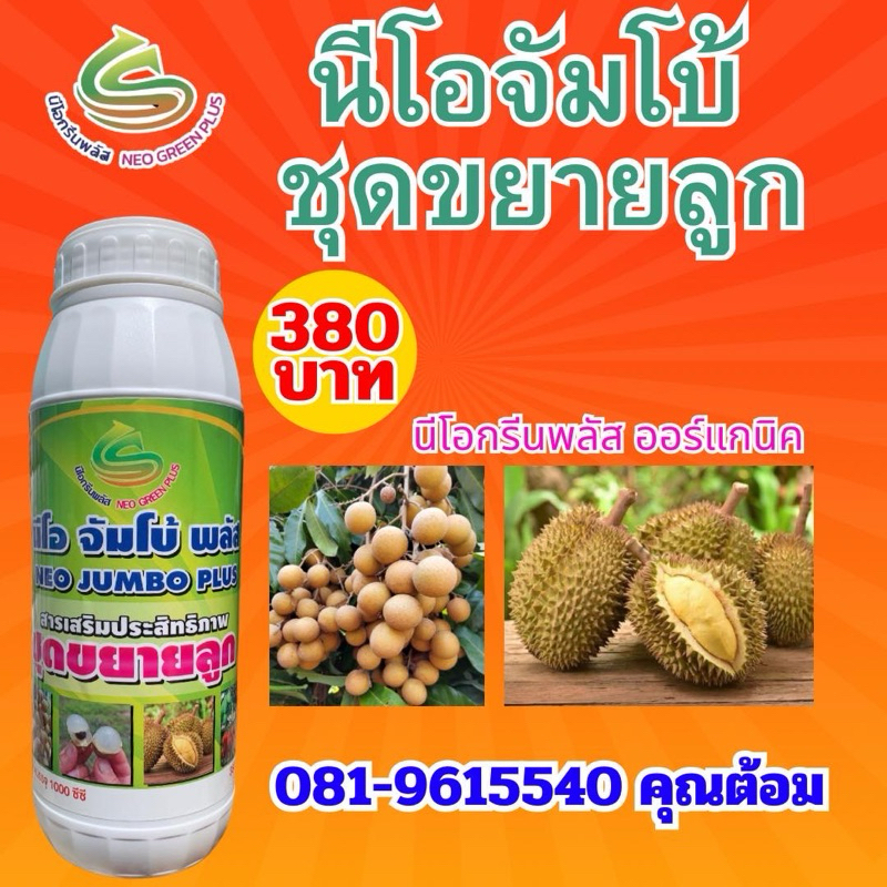 ขยายลูก นีโอจัมโบ้ เร่งขยายก่อนเก็บผลผลิต 1เดือนหรือ 20 วันใช้ได้กับไม้ผลและพืชผักทุกชนิด