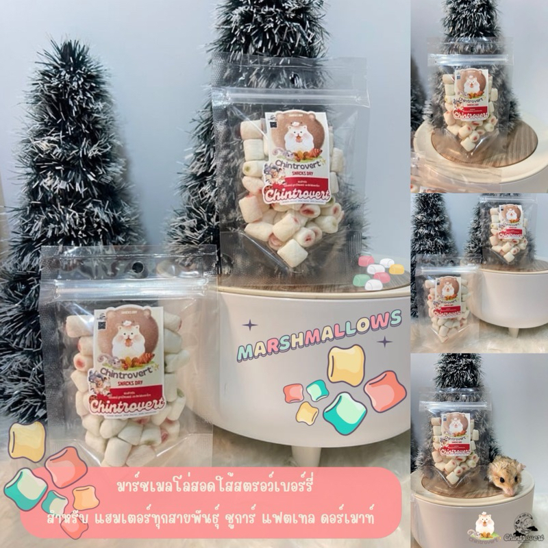 Chintrovert | Marshmallow มาร์ชเมลโล่สตอร์วเบอรี่ 25g | สำหรับ แฮมเตอร์ ชูการ์ แฟตเทล ดอร์เมาท์