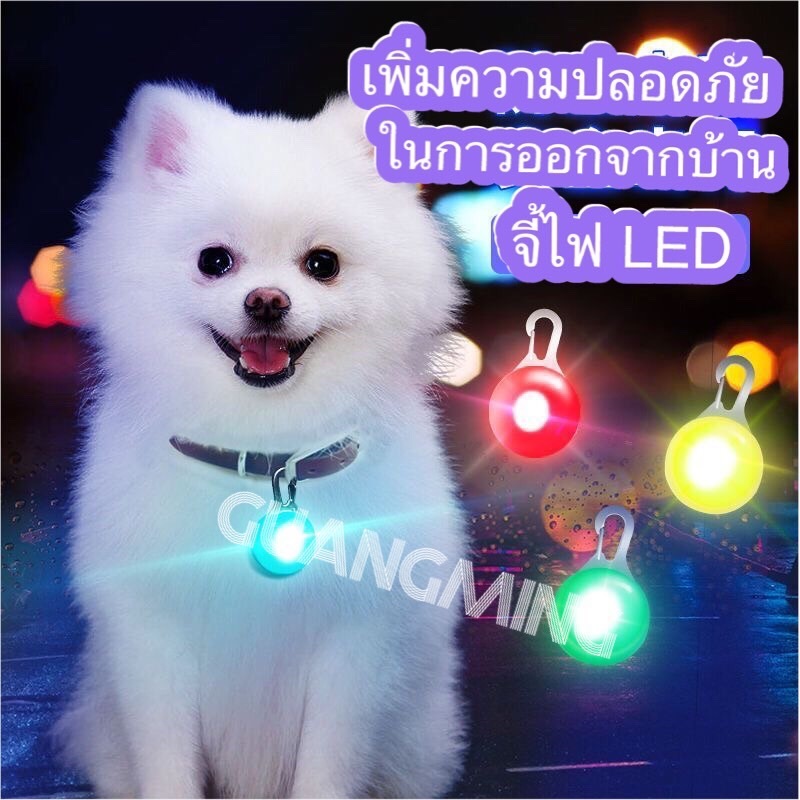 ปลอกคอ จี้ไฟLED สำหรับติดปลอกคอ ไฟกระพริบ สำหรับเดินทางกลางคืนปลอดภัย พร้อมส่งในไทยTH