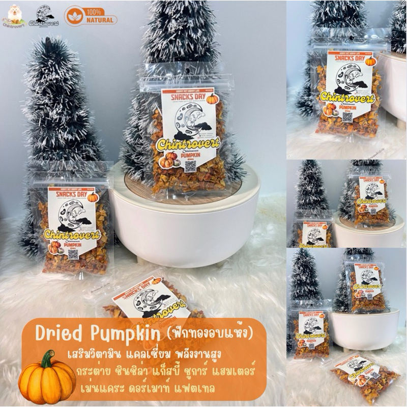 Chintrovert | Dried pumpkin ฟักทองอบแห้ง 25 g. | ขนมกระต่าย ชินชิล่า แก็สบี้ แฮมเตอร์ ดอร์เมาท์ แฟตเทล ชูการ์