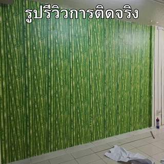 วอลเปเปอร์ติดผนัง ลายไผ่ ขนาด0.45x9-10เมตร ติดง่าย กันน้ำ มีกาวในตัว ราคาประหยัด สติกเกอร์ติดผนัง วอลเปเปอร์ติดผนังบ้าน