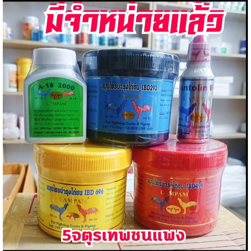 ชุดเลี้ยงพิเศษ-ไอบีดีลำปำชุดใหญ่พร้อมตัวเสริม