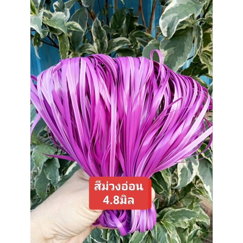 หวายสานตะกร้า สีขาว  4.8มิล ขนาด 500g (ครึ่งกิโลกรัม) เส้นยาว สีสันสวยงาม - รูปที่ 3