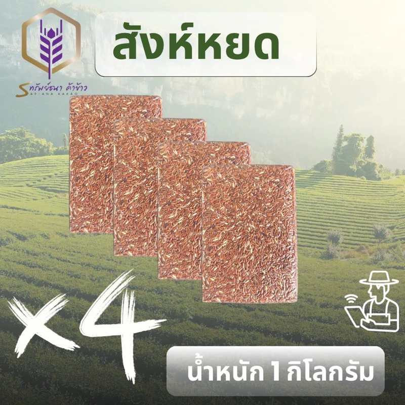 ข้าวสังหยดแพคสูญญากาศ4กิโลกรัมตรา ทรัพย์ธนา