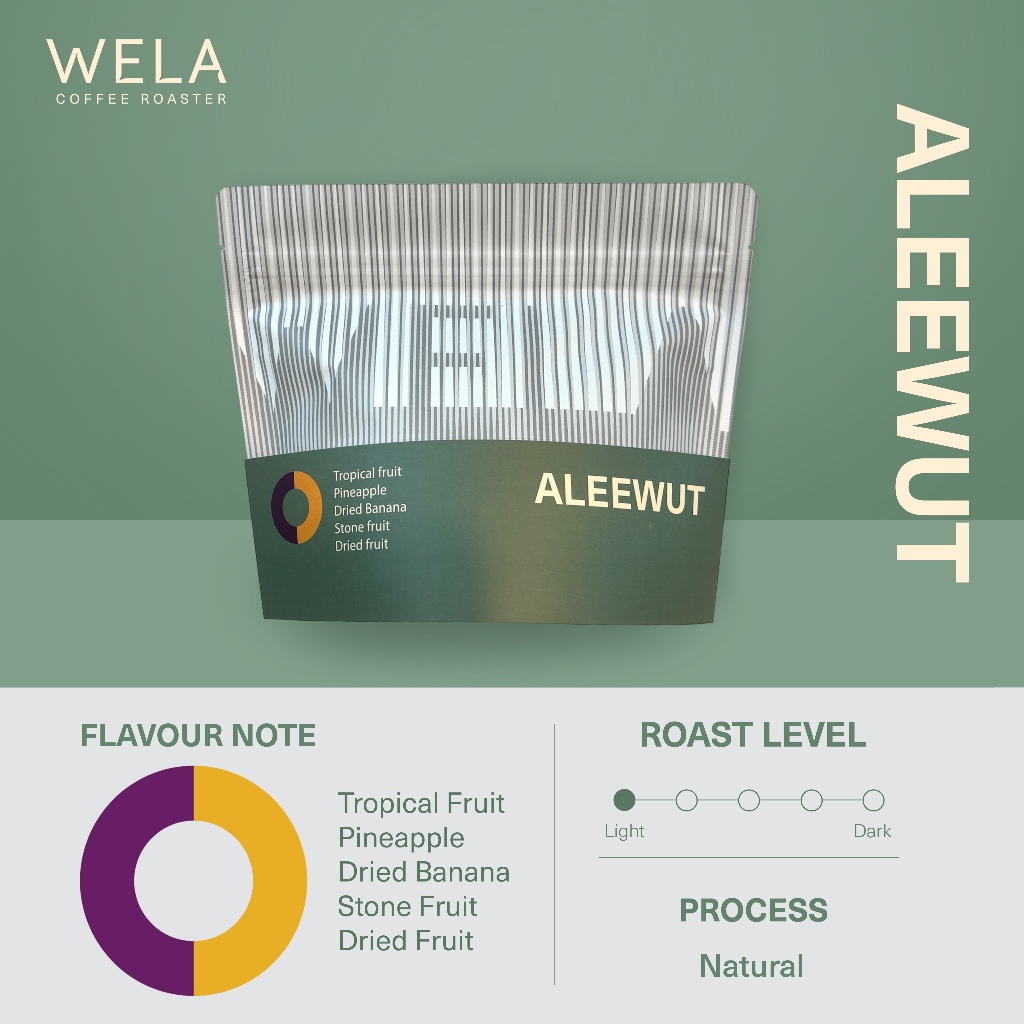 WELA Coffee Roaster - เมล็ดกาแฟคั่ว Pangkhon, Washed Process, Medium Roast (200g)