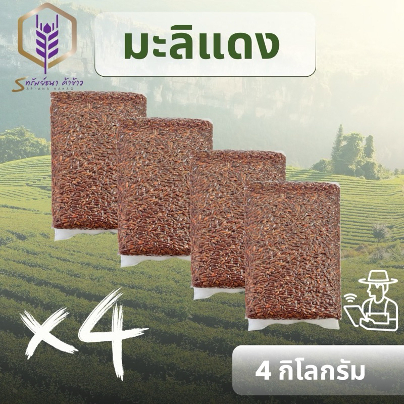 ข้าวมะลิแดงแพคสูญญากาศ4กิโลกรัม ตราทรัพย์ธนา