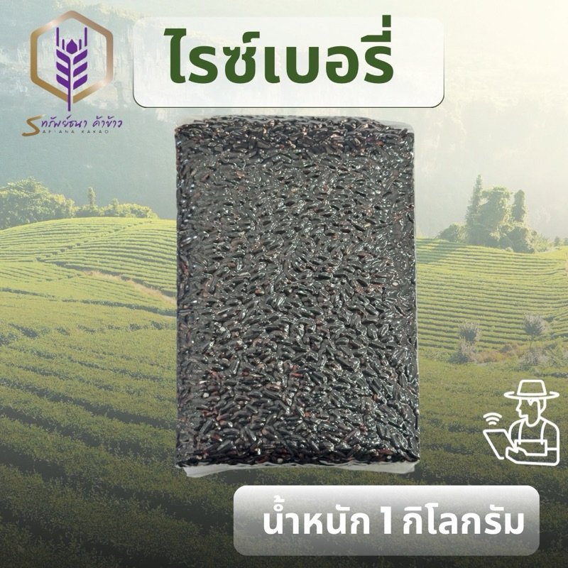ข้าวไรซ์เบอรี่แพคสูญญากาศ1กิโลกรัม ตราทรัพย์ธนา