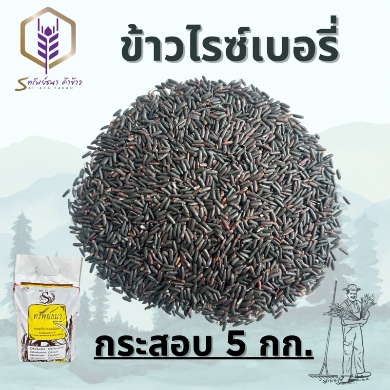 ข้าวไรซ์เบอรี่แพคกระสอบ5กิโลกรัม ตราทรัยพ์ธนา