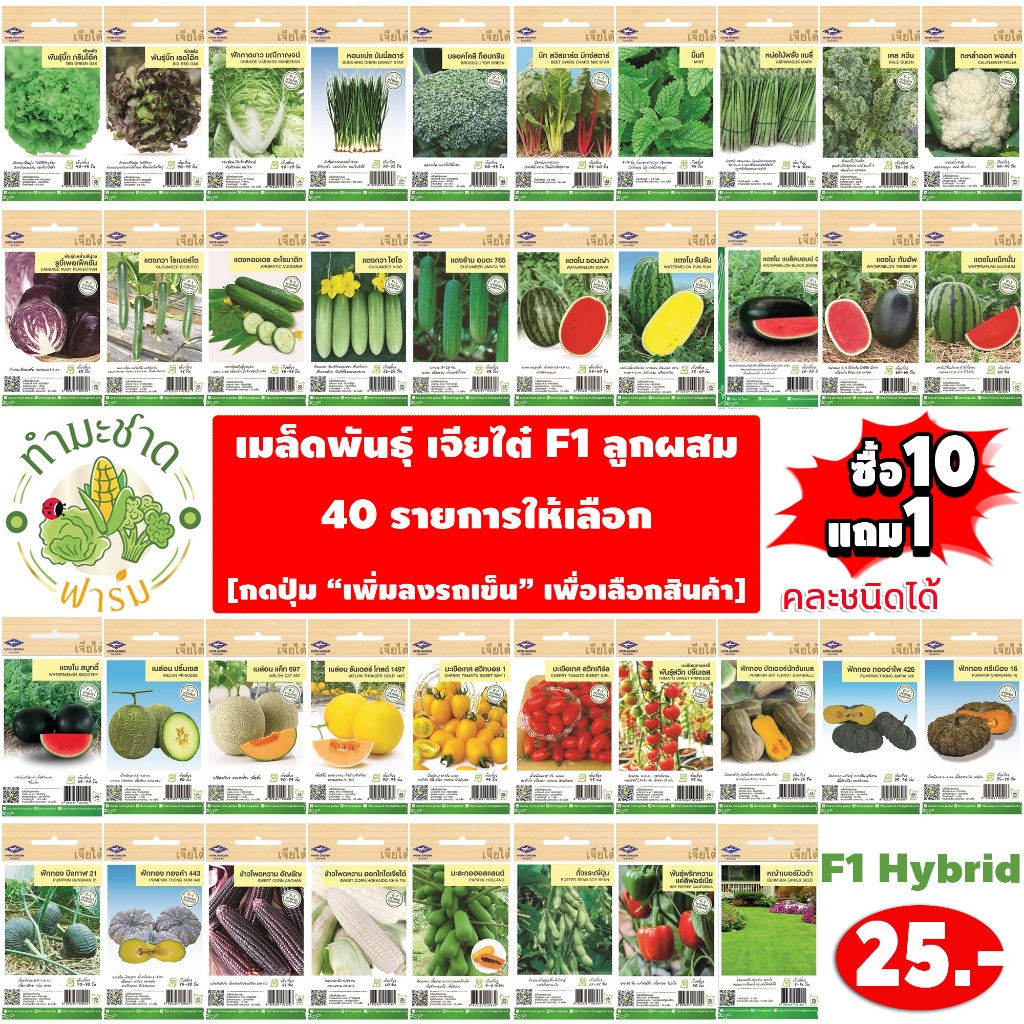 เจียไต๋ 30฿ [Easy] เมล็ดพันธุ์ผัก สวนครัว เจียไต๋ เม็ดผัก ผักสลัด แตงโม เมล่อน หน่อไม้ฝรั่ง ขาวปลี หอมแบ่ง ฟักทอง มะเขือ
