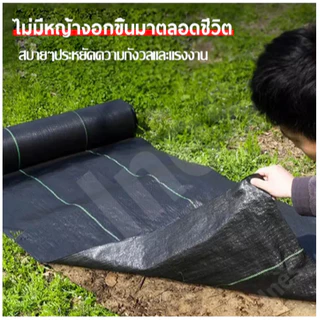 พลาสติกคลุมวัชพืช ขนาด10เมตร กำจัดวัชพืช ผ้าคลุมวัชพืช ผสมUV ฆ่าหญ้า เห็นผลไวถายใน 1 เดือน อยุ่ทนกว่า 3-5 ปี