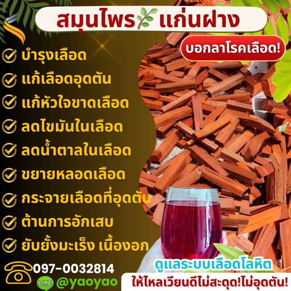 ไม้สมุนไพรแก่นฝาง บำรุงเลือด บำรุงร่างกาย ลดความดัน ลดน้ำตาล ลดเบาหวาน ไขมันในเลือด ชาปลายมือ-เท้า