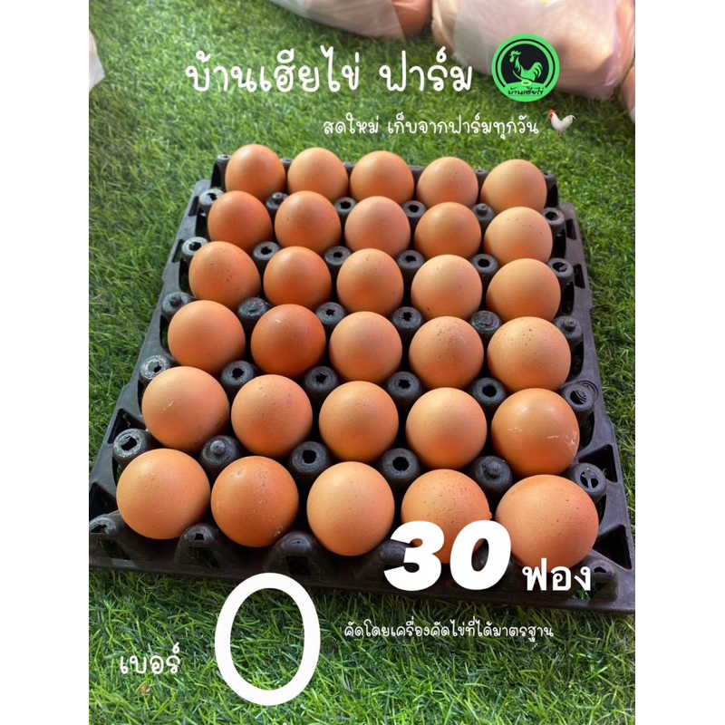 ไข่ไก่ เบอร์0 ไข่ไก่อารมณ์ดีไข่แดงดีไม่เป็นน้ำ 30ฟอง พร้อมส่ง สดใหม่วันต่อวัน