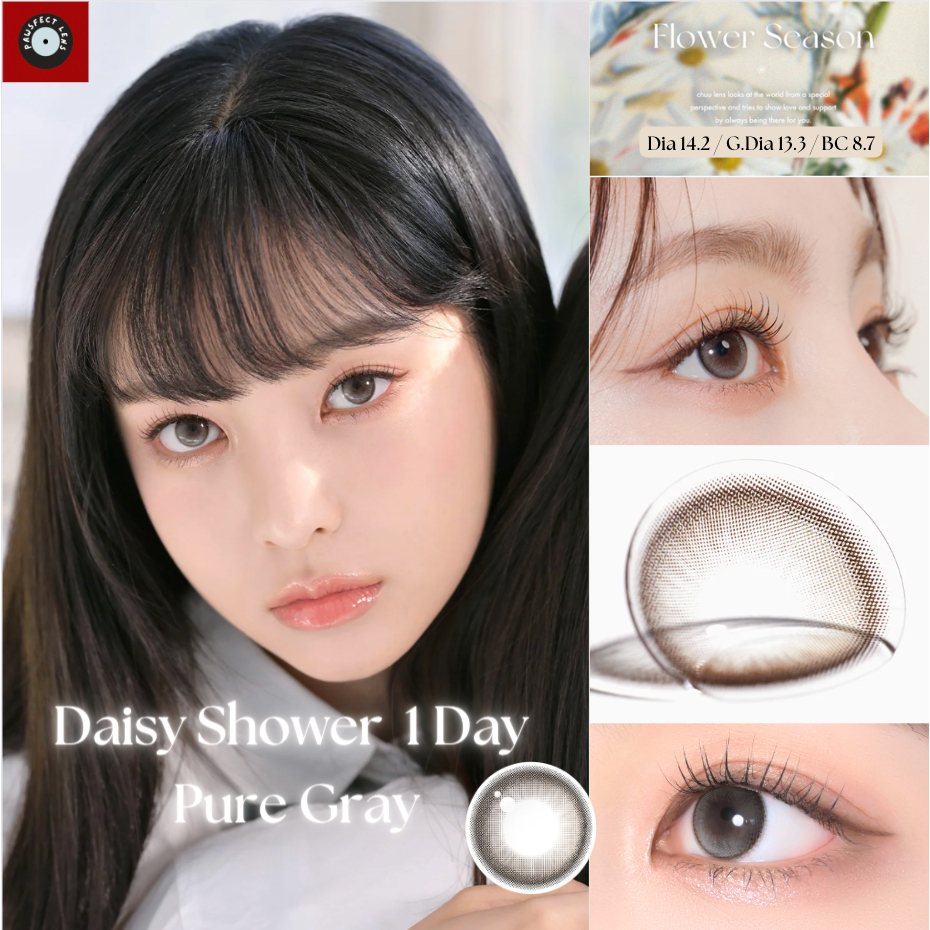 Chuu - Daisy Shower Pure Gray 1Day เลนส์รายวัน