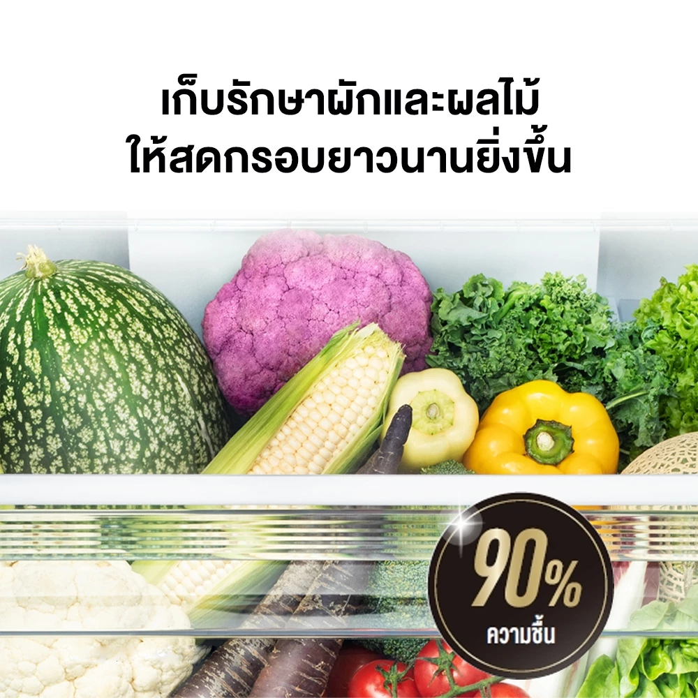 Panasonic ตู้เย็น 2 ประตู (14.8 คิว , สี Black) รุ่น NR-BX471GPKT Prime Fresh -3°C Econavi thumbnail 9