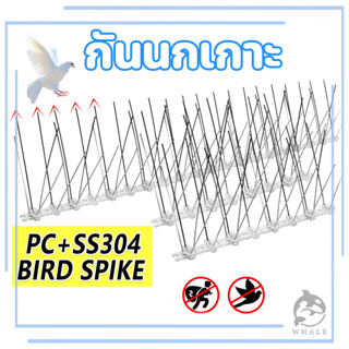 พร้อมส่ง！หนามไล่นก ไล่นกพิราบ ที่ดักนก กันนกพิราบ Bird Spike…