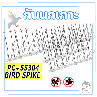 พร้อมส่ง！หนามไล่นก ไล่นกพิราบ ที่ดักนก กันนกพิราบ Bird Spikes กันนกเกาะ อุปกรณ์ไล่นกทำรัง ทนทาน หนามกันนก​