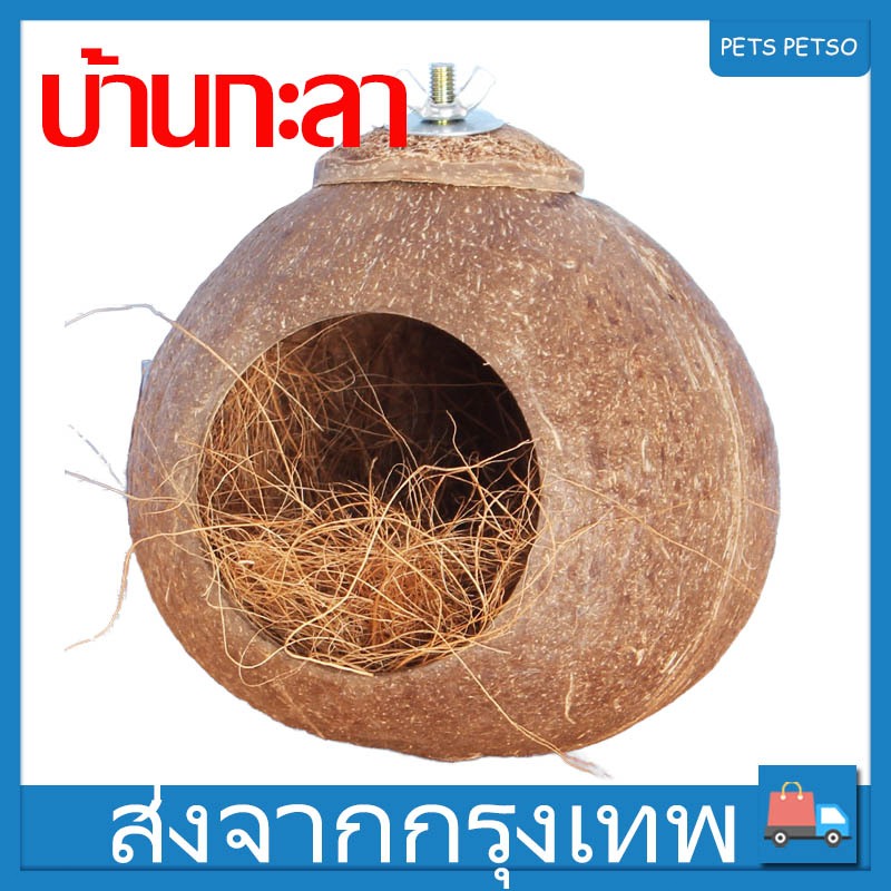 บ้านกะลา บ้านชูการ์ บ้านนก บ้านชูก้า บ้านชูการ์ไกลเดอร์ ที่นอนชูการ์ กะลามะพร้าว ใช้สำหรับเป็นที่อยู่ อาศัย พร้อมจัดส่ง