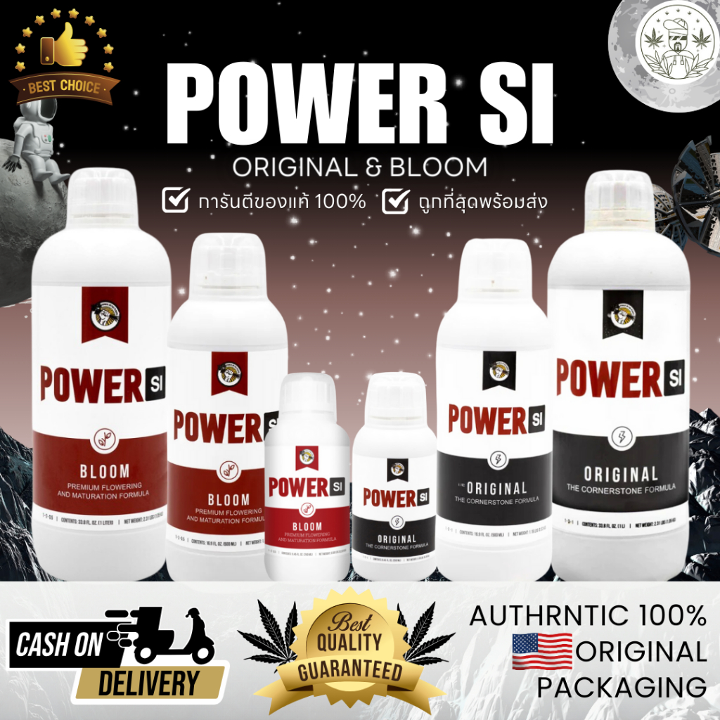 Power Si Bloom & Power Si Original V.2 ของแท้แน่นอน100% ดอกใหญ่และแน่นกว่า ก้านและลำต้นหนาขึ้น เพิ่มการแตกแขนงด้านข้าง