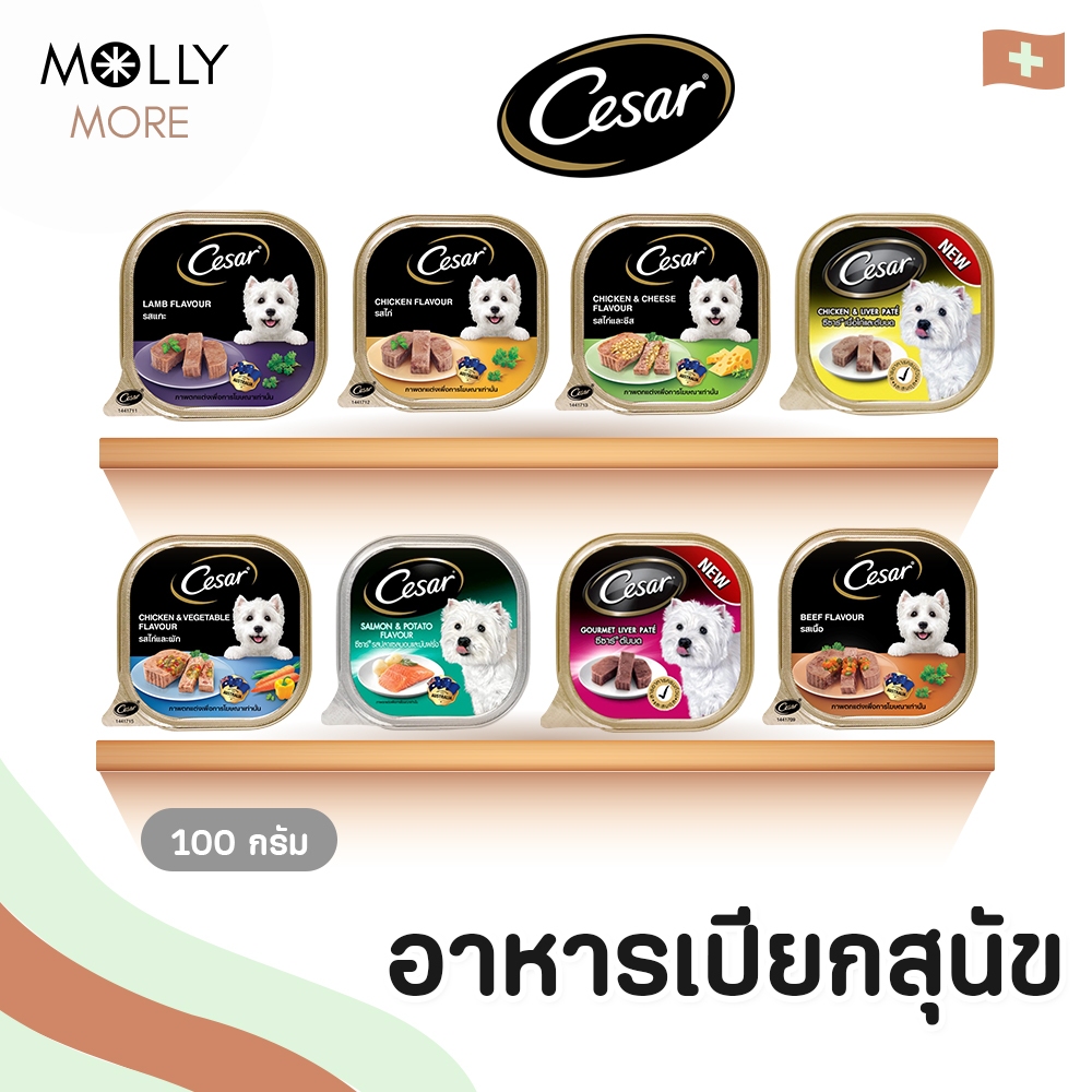 MOLLY Ceasar อาหาสุนัข ชนิดเปียก แบบถาด ซีซาร์ อาหารเปียกสุนัข สำหรับสุนัขโตทุกสายพันธุ์ (ขนาด 100 กรัม)