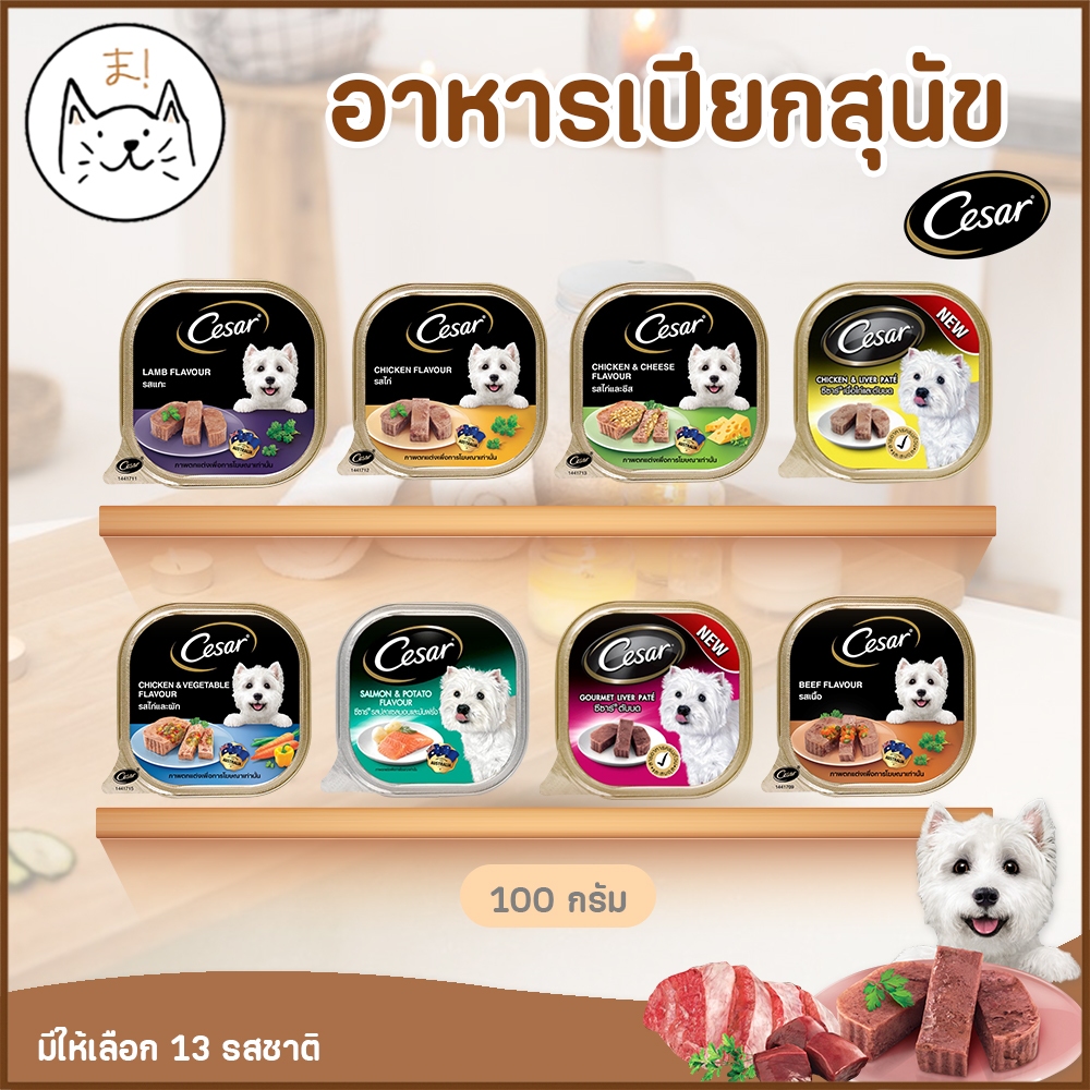 KUMAま Cesar อาหารเปียกสุนัข ซีซาร์ แบบถาด Premium สำหรับสุนัขโตทุกสายพันธุ์ 100g