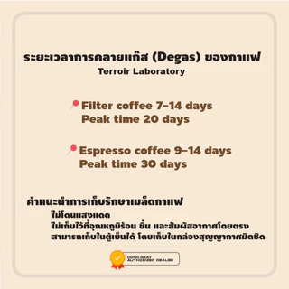 เมล็ดกาแฟคั่ว "CM" original BLEND เมล็ดกาแฟคั่ว Terroir Lab. Fresh Blueberry