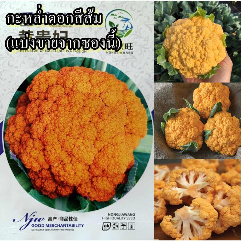 40 เมล็ด เมล็ดกะหล่ำดอกสีส้ม (หายาก ดอกสวยดอกสีส้ม รสชาติหวานกรอบอร่อยมาก เมนูนิยม ผัดน้ำมันหอย ผัดใส่เนื้อสัตว์ หรือใส่