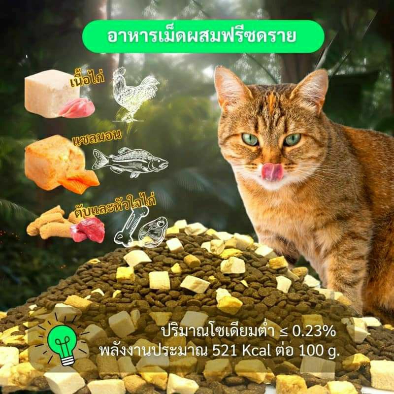 Bite of Wild อาหารแมว Holistic Grainfree