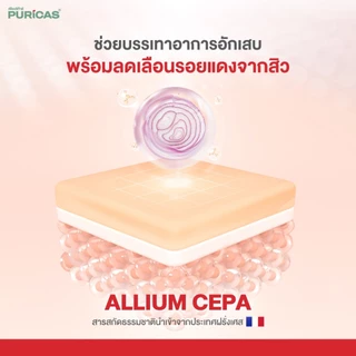 Puricas Dragon's Blood Scar Gel ขนาด 8 กรัม ลดเลือนรอยสิว