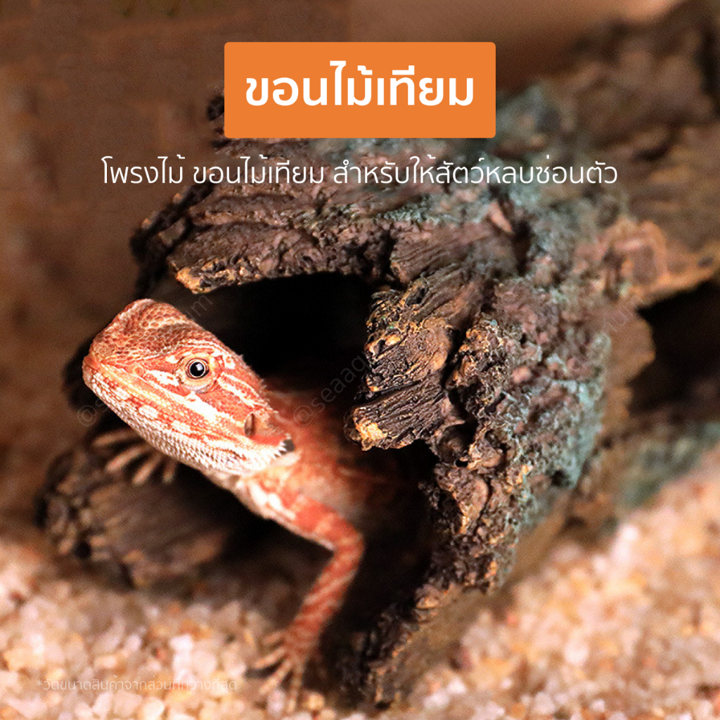 โพรงไม้เทียมสำหรับสัตว์เลี้ยง เปลือกไม้เทียม พื้นผิวเลียนแบบธรรมชาติ  ไม่มีความคมและสารเคมีตกค้าง