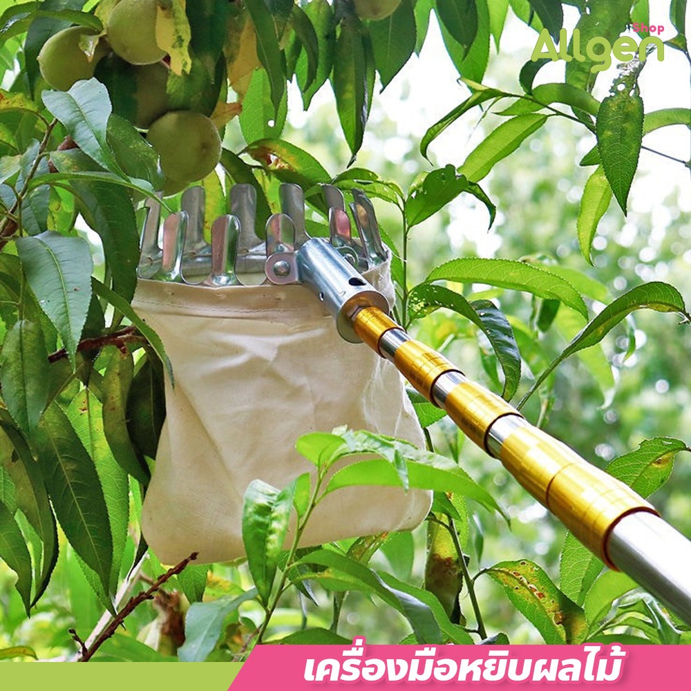 อุปกรณ์เก็บผลไม้ ด้ามต่อยืดหดได้ ใช้งานง่าย ไม้สอยผลไม้ มีความยาวหลายขนาด 1.7-10M