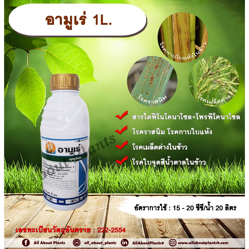 อามูเร่ 1L. ไดฟีโนโคนาโซล+โพรพิโคนาโซล สารกำจัดเชื้อรา ป้องกันเชื้อรา โรคเมล็ดด่าง โรคราสนิม โรคใบจุดสีน้ำตาล โรคกาบใบแห