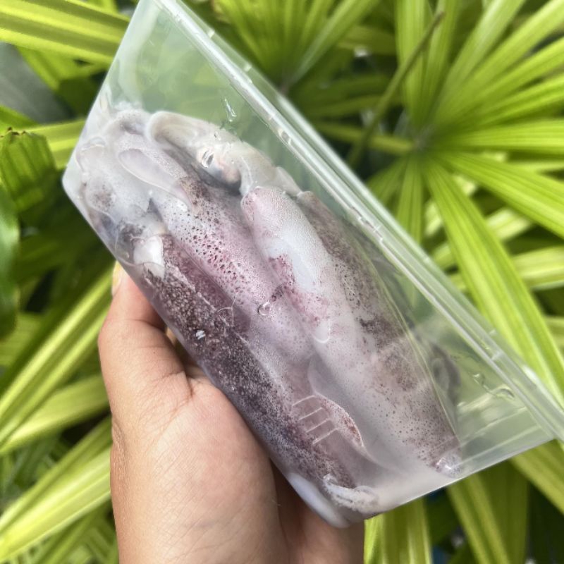 หมึกกล้วยไข่ ไซส์20-30ตัว/โล แบ่งขายกล่องละ500 กรัมและ1กิโลกรัมมีประมาณ10-15ตัวต่อกล่อง - รูปที่ 6