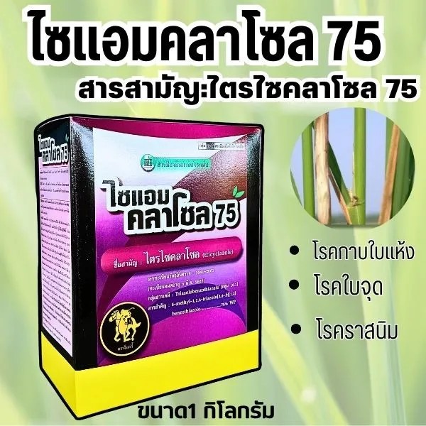 (ยกกล่อง) 10 ซอง ไตรไซคลาโซล ไซแอมคลาโซล สารเดียวกับ บีม 75  ยาเชื้อรา สารป้องกันขจัดโรคพืช