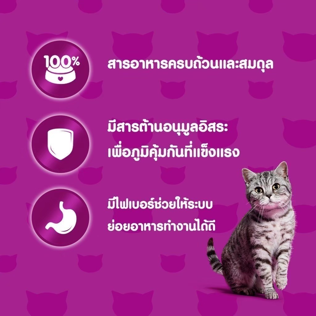 Whiskas Skin and Coat 1.1 kg อาหารเม็ดแมวโต 1+ ปี เพื่อสุขภาพขนและผิวหนังที่ดี รสไก่และปลาแซลมอน - รูปที่ 2