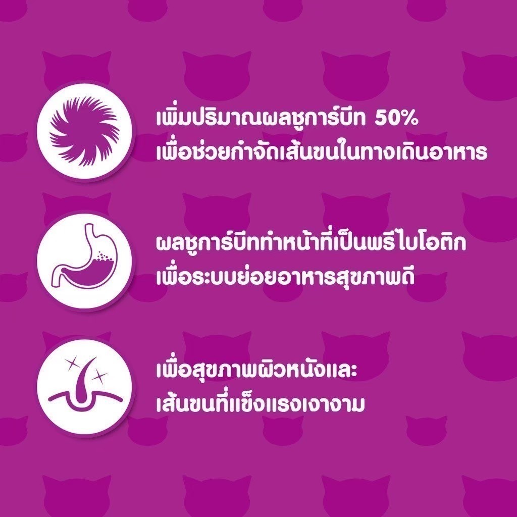 Whiskas Skin and Coat 1.1 kg อาหารเม็ดแมวโต 1+ ปี เพื่อสุขภาพขนและผิวหนังที่ดี รสไก่และปลาแซลมอน - รูปที่ 4