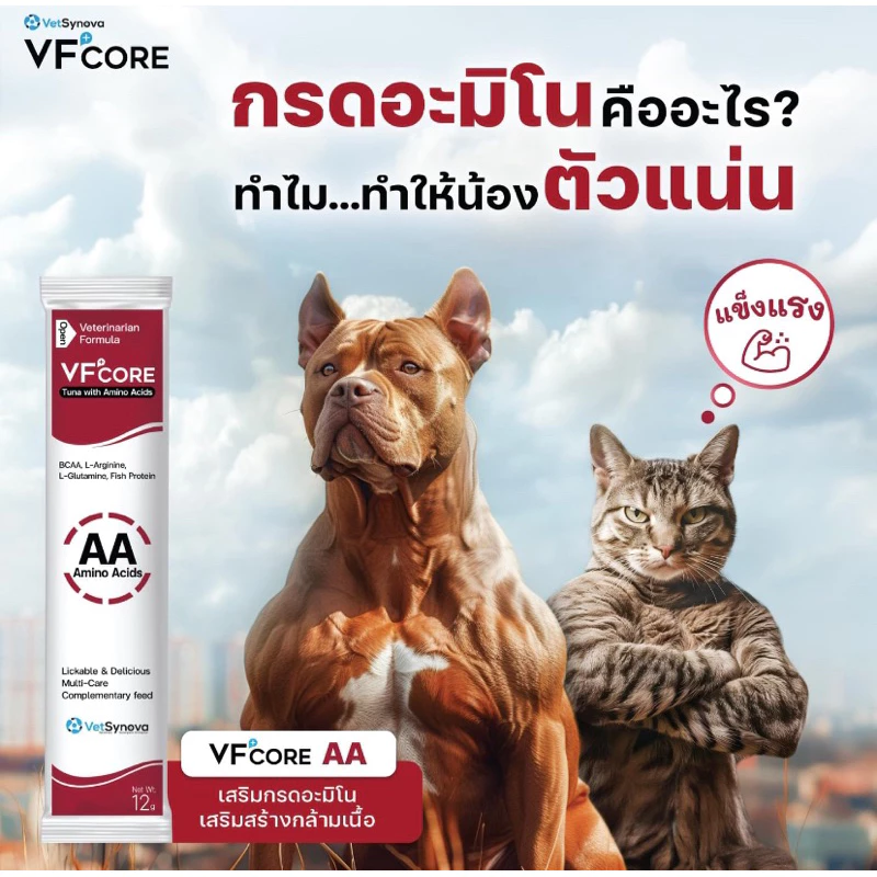 Vfcore ขนมแมวเลีย RB LS JC 1ซอง thumbnail 4
