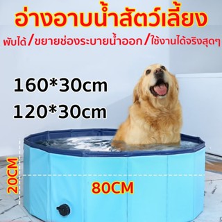 สระว่ายน้ำพับได้สระสุนัขแบบพกพารอบหนา วัสดุPVC สระน้ำสัตว์เล…