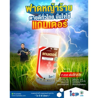 แกนเตอร์ 1 ลิตร *ส่งฟรี* ตราไอซีพีลัดดา โพรพานิล+อะนิโลฟอส กำจัดวัชพืชในนาข้าวช่วงคุมฆ่า ใบแคบ ใบกว้าง กก หญ้าดื้อยา