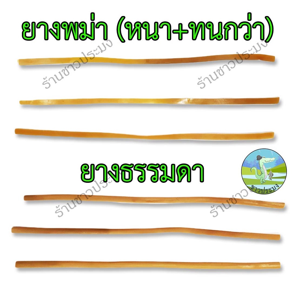 หนังสติ๊ก ยางไทย พม่า ยางหนังสติ๊ก หนังสะติ๊ก ราคา ถูกที่สุด ดีลบีเคเค แกลเลอรีภาพที่ 2