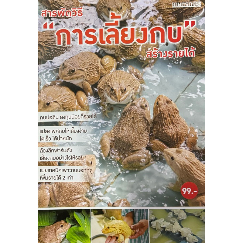 สารพัดวิธี การเลี้ยงกบ สร้างรายได้