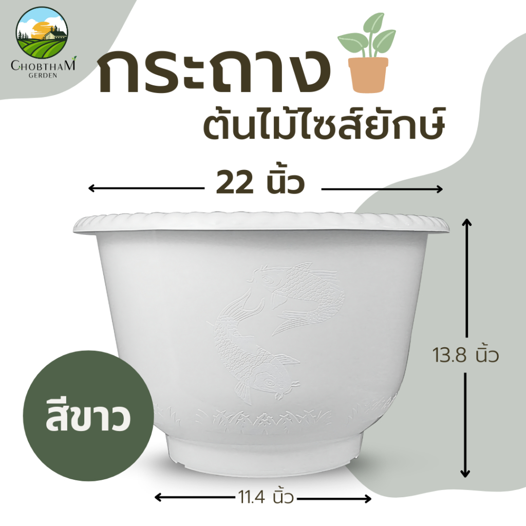อ่างบัวเลี้ยงปลาพลาสติก  22 นิ้ว กระถางต้นไม้ไซส์ยักษ์ สีขาว อ่างบัวพลาสติกแบบหนา อ่างเลี้ยงปลา เลี้ยงกล้วย อย่างดี