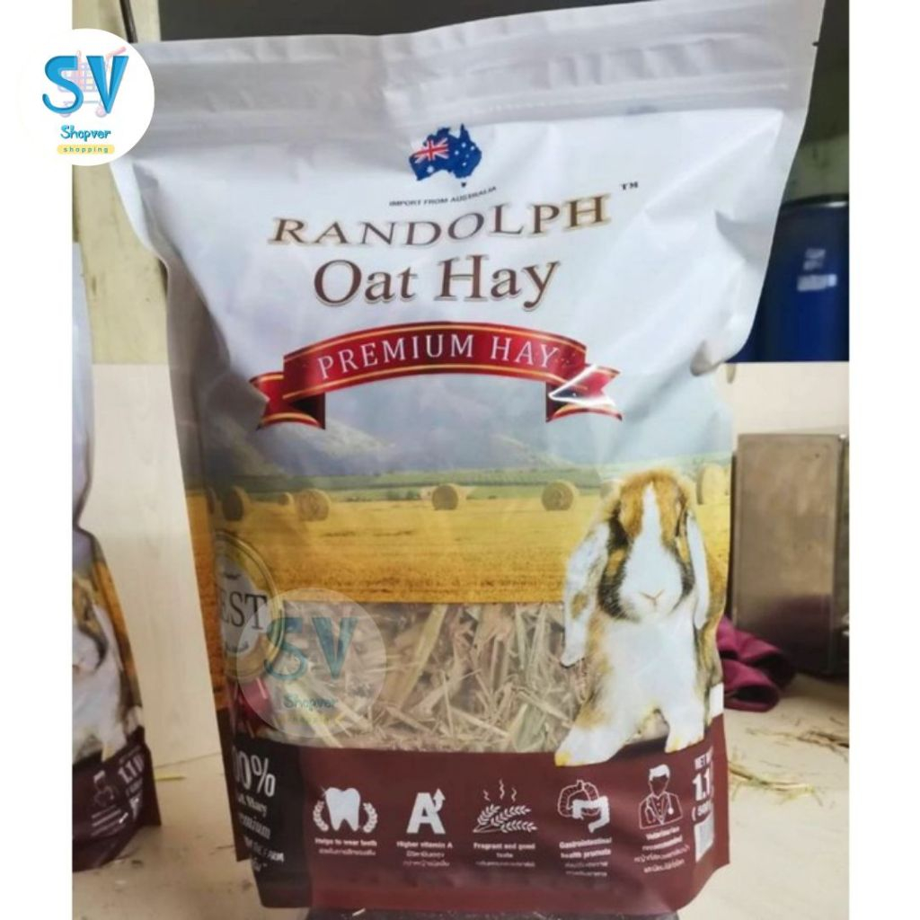 Randolph Oat hay หญ้าโอ๊ตพรีเมี่ยม 500 กรัม หญ้าสวย กลิ่นหอม พร้อมส่งจ้า