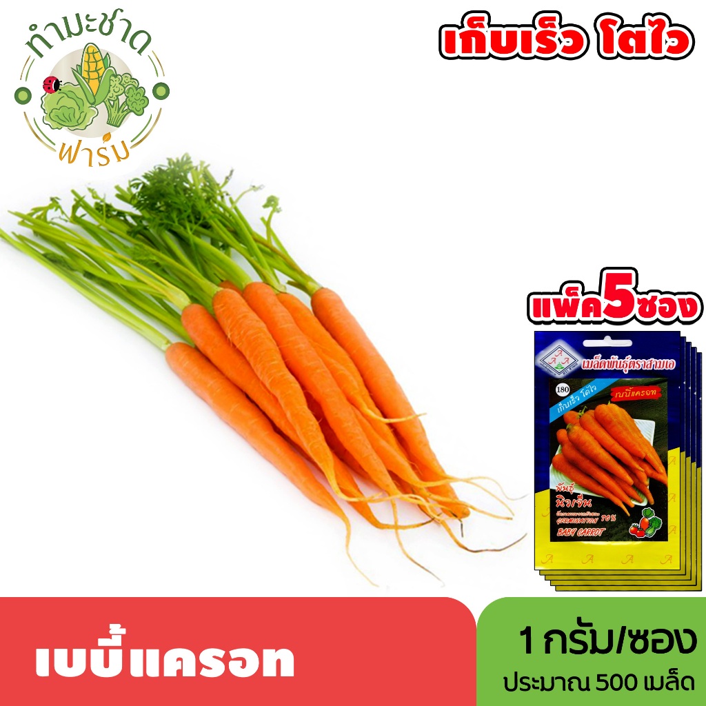 [แพ็ค 5 ซอง] 3A เมล็ดพันธุ์ เบบี้แครอท ขนาดซองละ1กรัม ประมาณ500เมล็ด/ซอง BABY CARROT แครอต แครอท เมล็ดพันธุ์พืช เมล็ดผัก